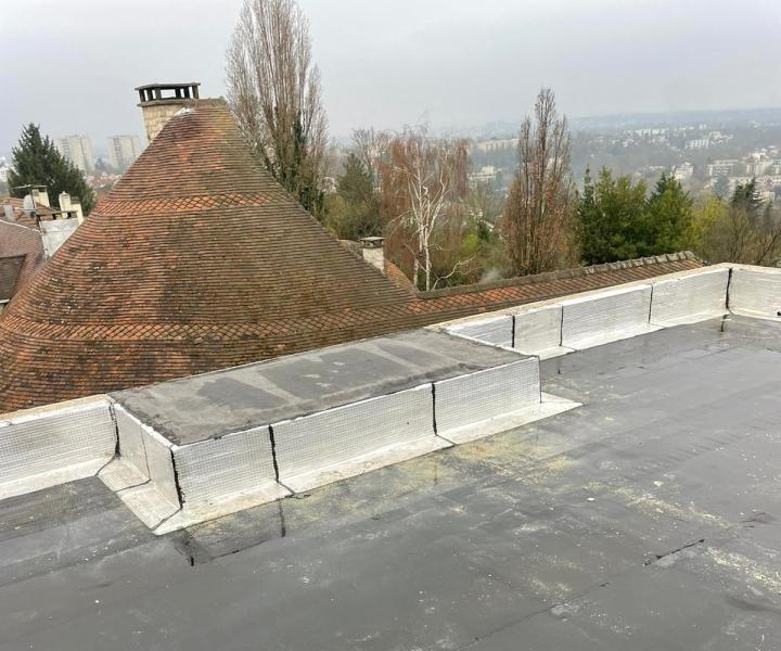 couvreur toit végétal Poissy